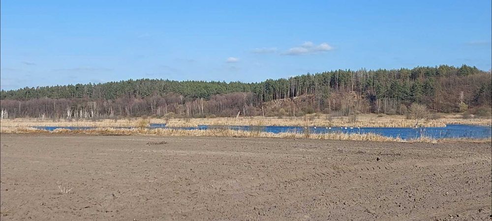Комерційна пропозиція!  Синяк, 7.6 га, ОСГ.  Біля води