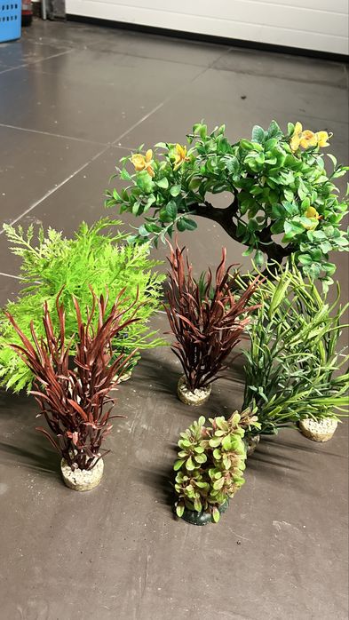 Plantas decoracao aquario (todas)