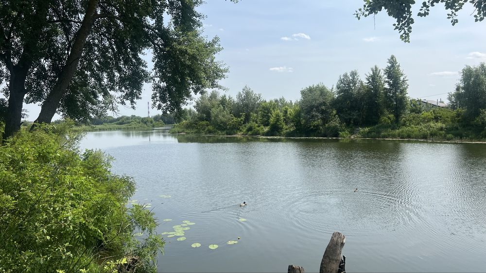 Продаж ділянки  від 10 га , 1-ша лінія до води с. Погреби