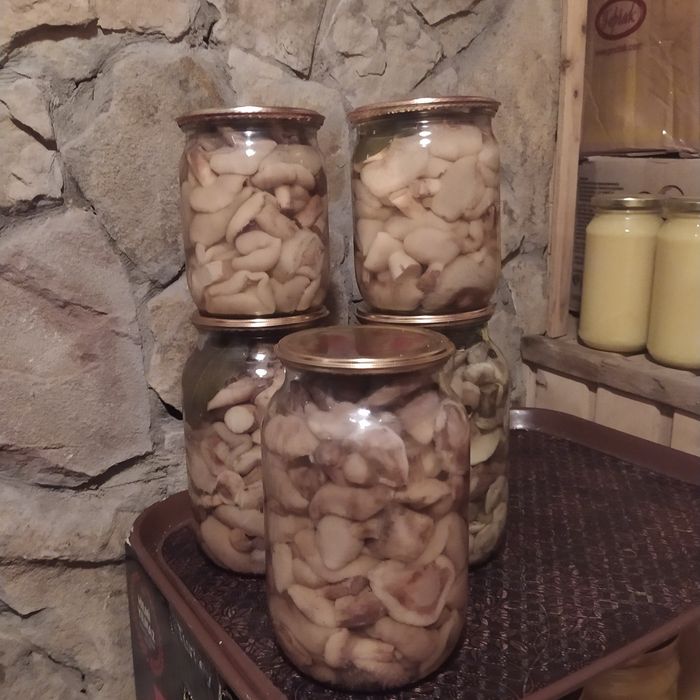 Мариновані та сушені гриби