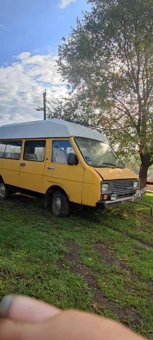 Раф 2203  пассажир продам