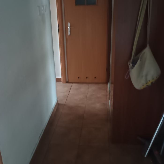Zdjęcie 8