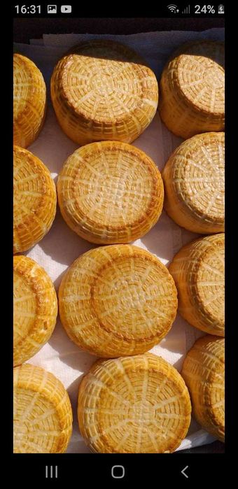 Sery kozie. Gospodarstwo ekologiczne.