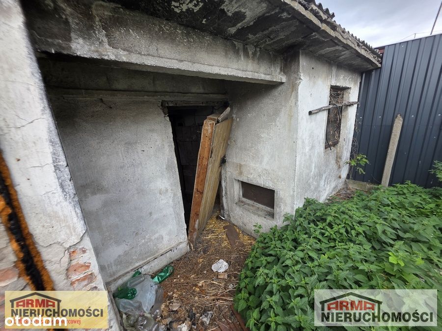 Kawalerka W Krępcewie