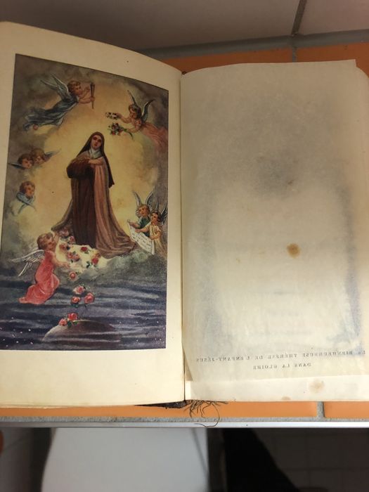 Старинная антикварная книга на французком языке