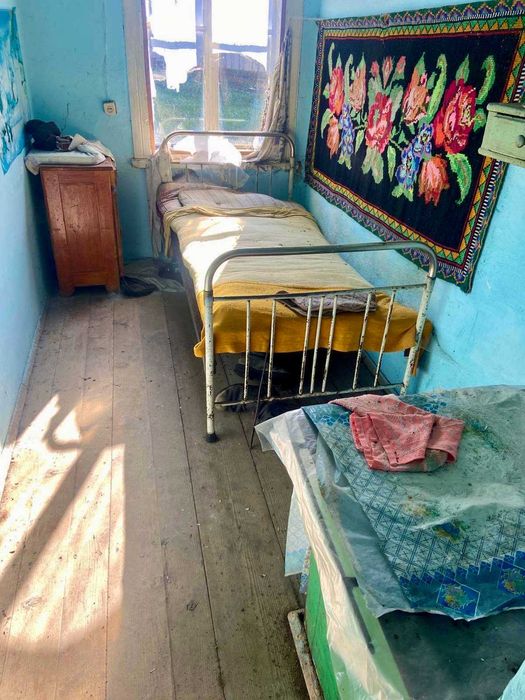 Будинок в Карпатах