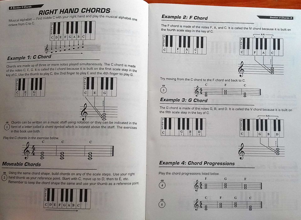 Cavalier e Steelman. Keyboard Basics Beginner Series Grande Incl porte