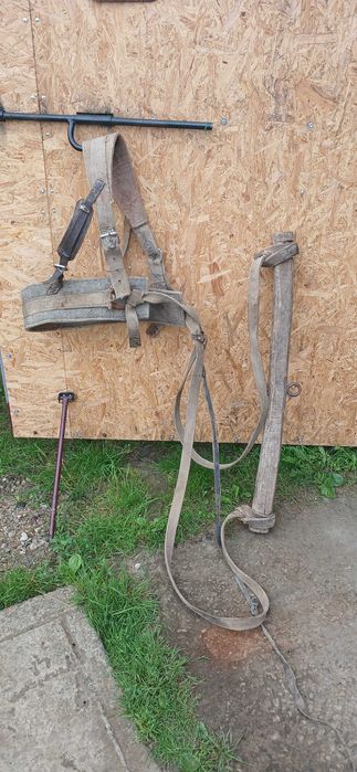 Шлея дуга для коня збруя