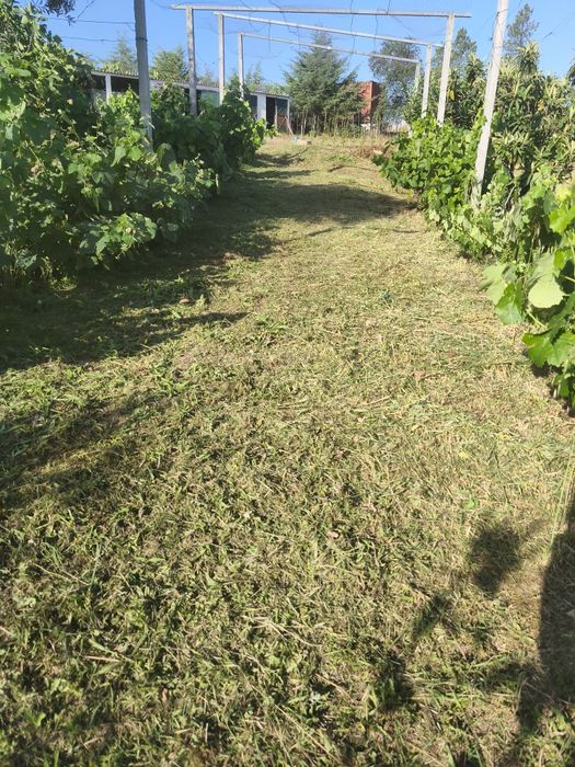 Limpeza de terrenos