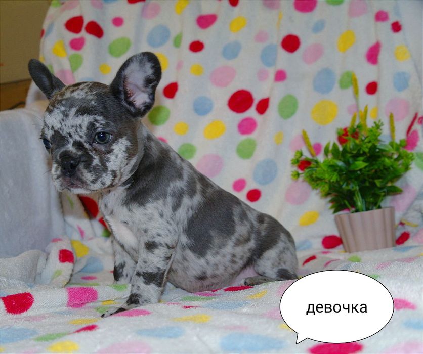 Супер детки ждут Вас