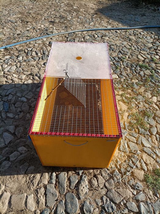 Criadeira Chick Max 100x50 cm (Com acessórios)