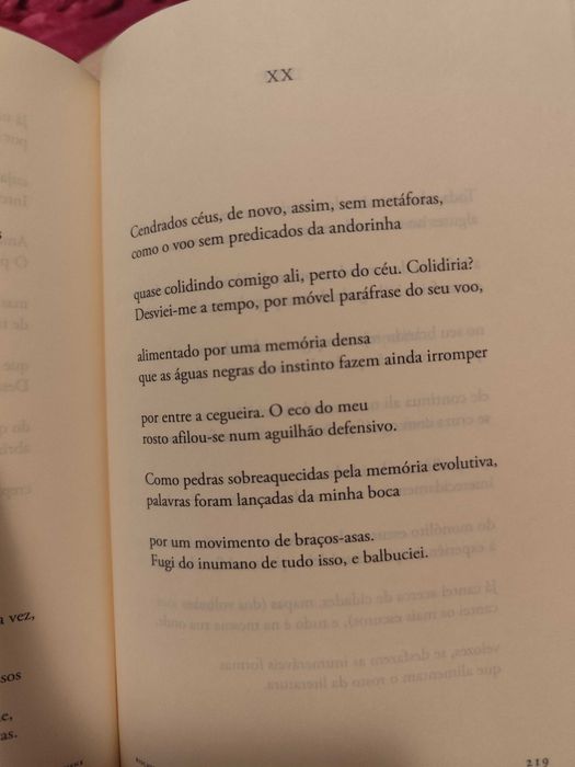 Luís Quintais - Arrancar Penas a um Canto de Cisne (Poesia)