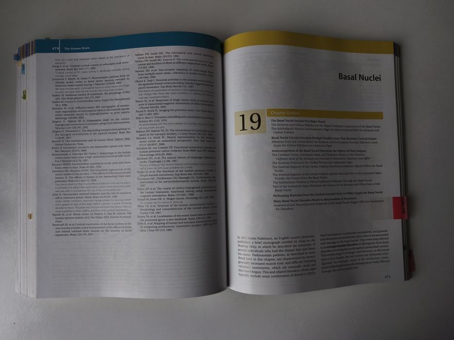 Livro Nolte's the Human Brain