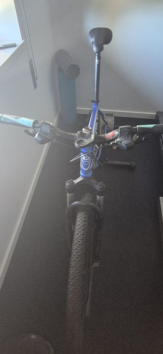 Rolo Elite turbo muin + Bike