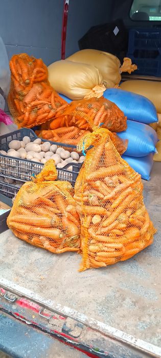 Marchew odpadowa dla zwierząt