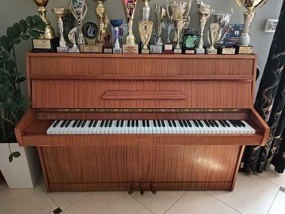 Sprzedam Pianino Calisia