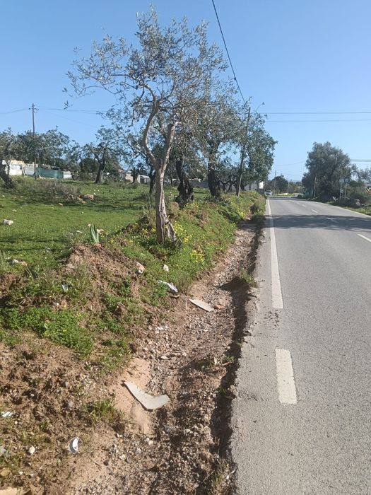 Vende-se terreno — Santa Bárbara de Nexe, Faro