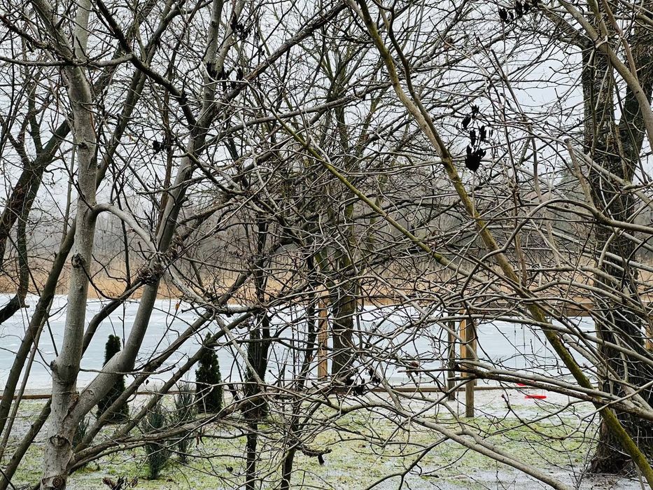 Продам участок в Обуховке,сосновый лес,река пляж закрытая территория