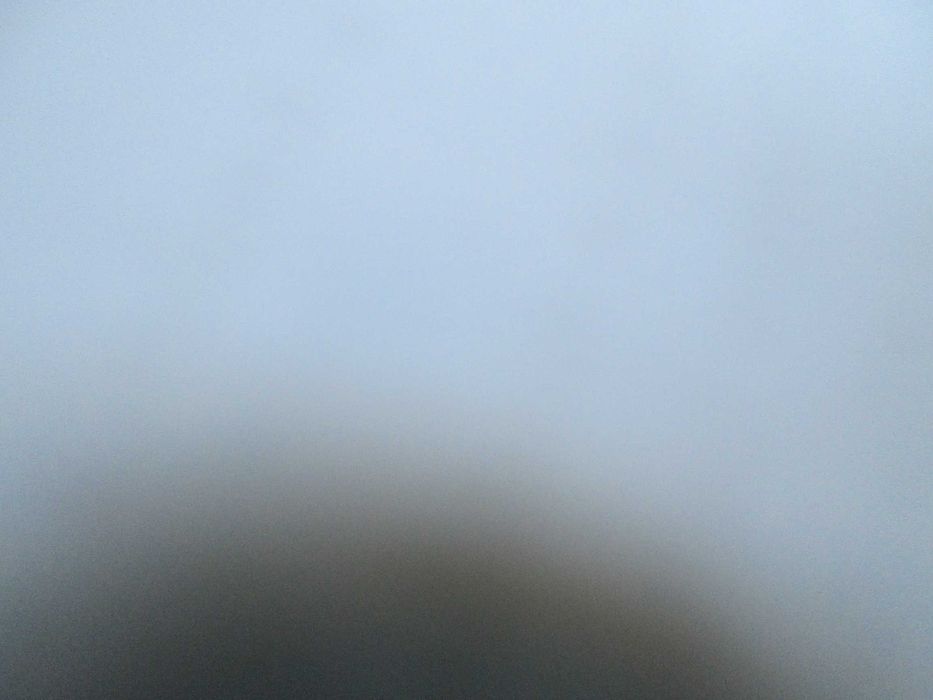 Faria de Vasconcelos - Obras Completas VII Adenda