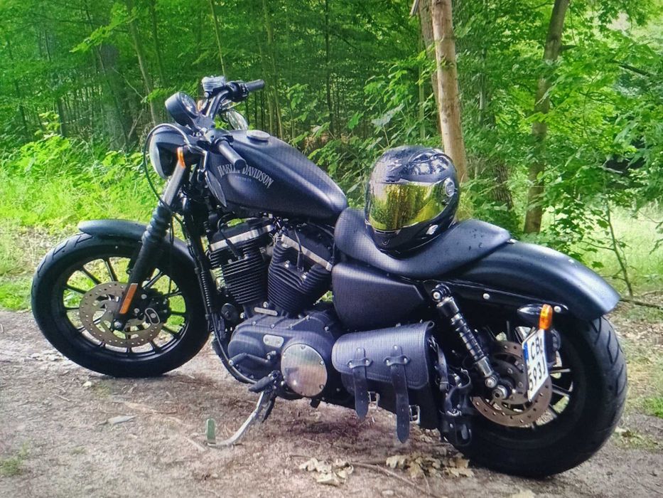 Harley Davidson Iron 883 Sportster XXL 2