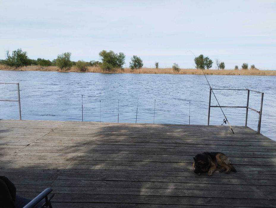 оренда участок рыбалка отдых на Днестре