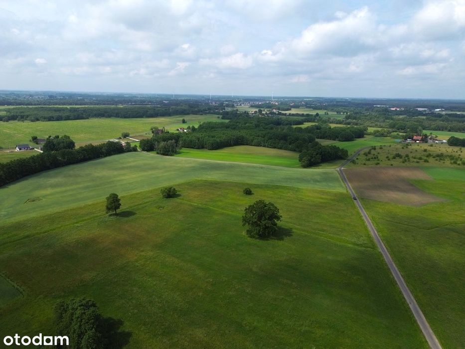 Gierłatowo - działki z planem zagospodarowania - Widok 4