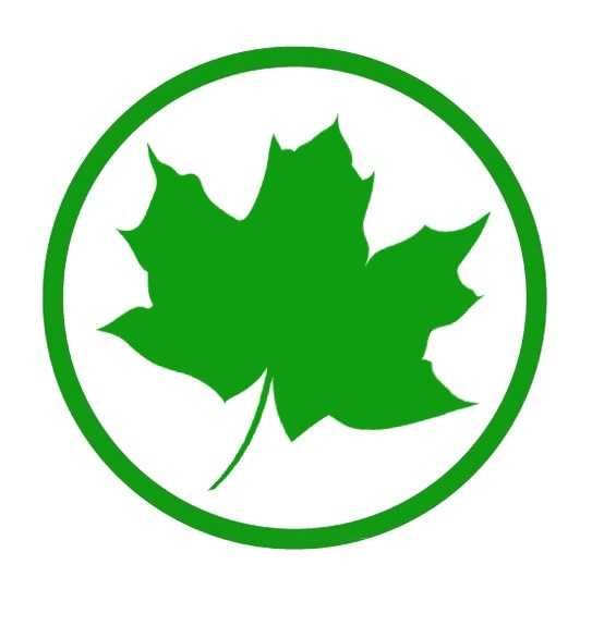 Naklejka Winylowa Zielony Listek Młody Kierowca 10 cm MS-NAKWIN-0001