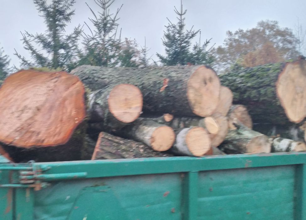 Drewno opałowe/kominkowe