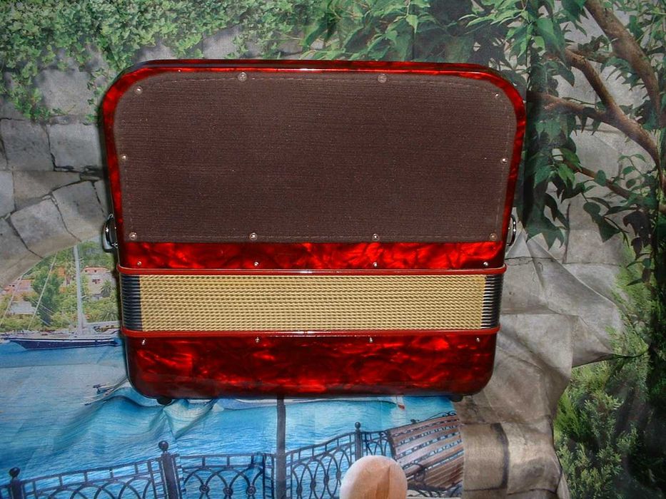 Concertina a venda n.717