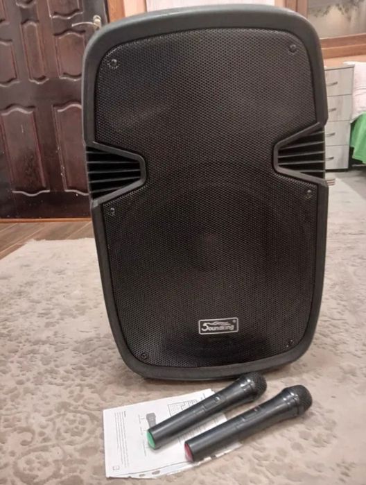 Колонка Sound King LS-911 з двома радіо мікрофонами