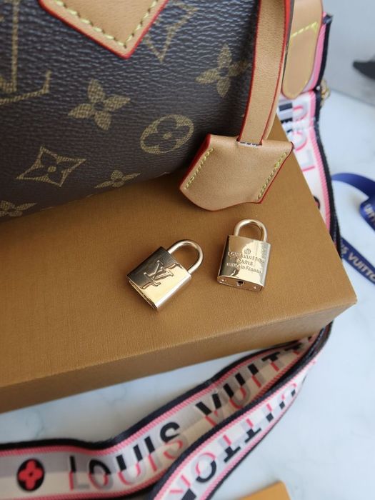 Torebka Louis Vuitton Speedy 20 Bag