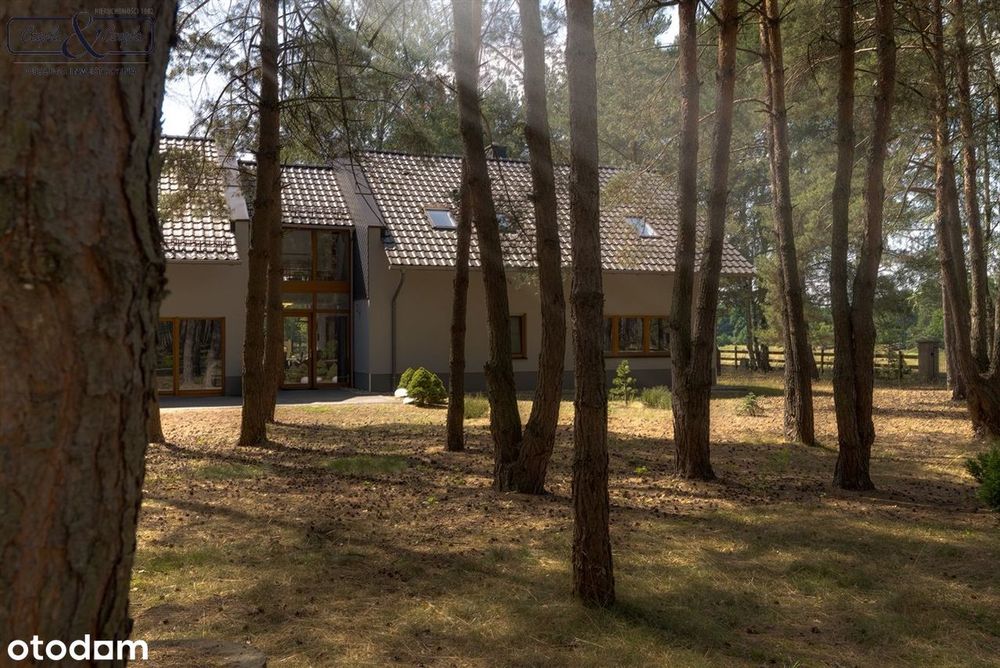 Premium rezydencja w wyjątkowym leśnym otoczeniu