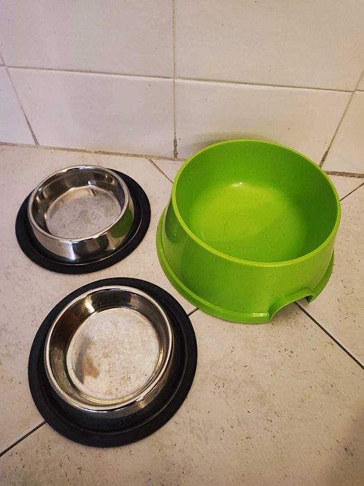 Tijela alta e outras tijelas inox e plástico para gato