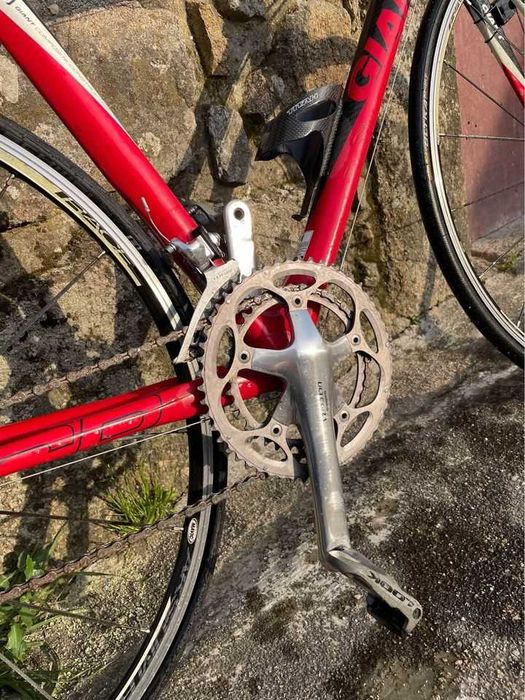 Giant TCR C2 Carbono