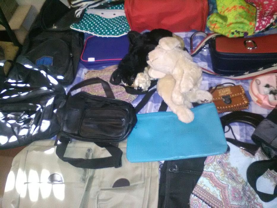 Conjunto de  Malas/Mochilas/Carteiras Diversas