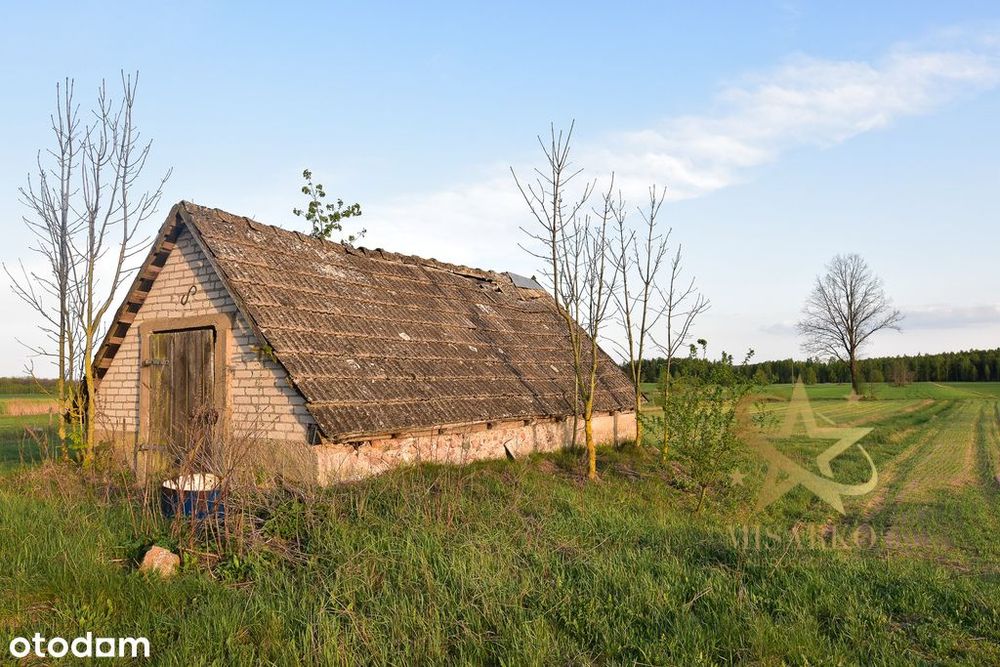 Urokliwe siedlisko w Kopciówce – 6000 m²