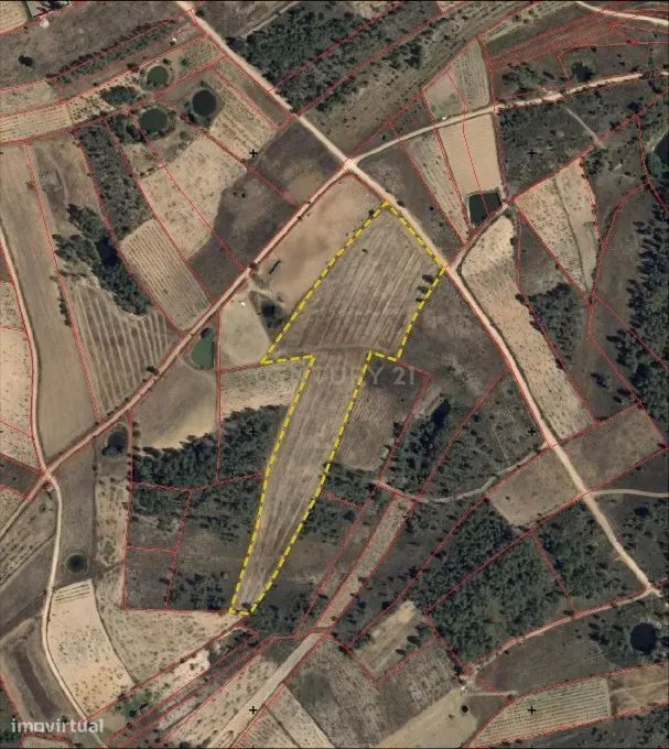 Terreno Rústico com 14.000m2, Chã da Vâ, Castelo Branco