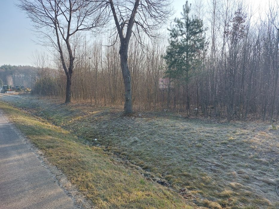 Mulczer leśny i wgłębny  wycinka karczowanie czyszcze działek rekultyw