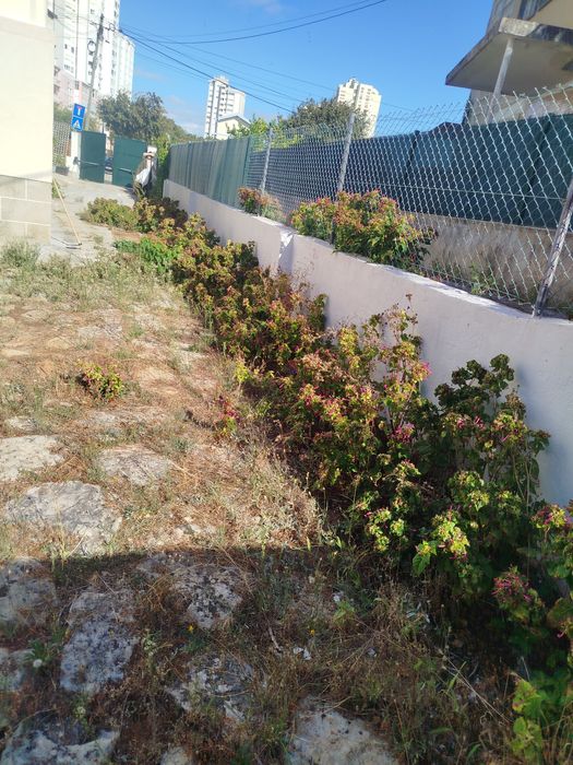 Limpieza de jardines