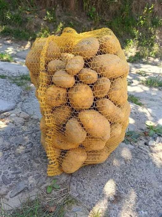 Ziemniaki worek 15 kg