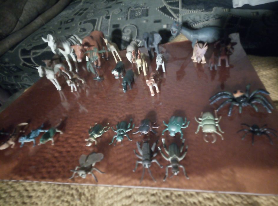 Животные разные и домашние и дикие