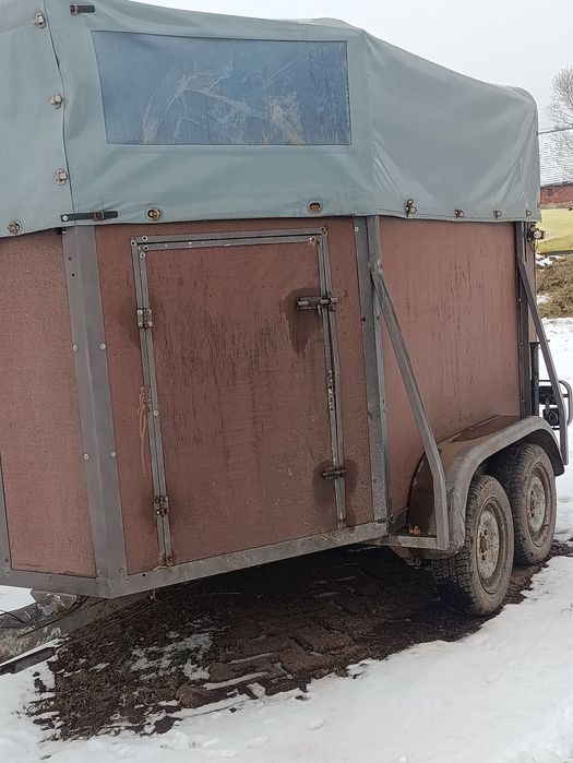 Przyczepka na 2 Konie