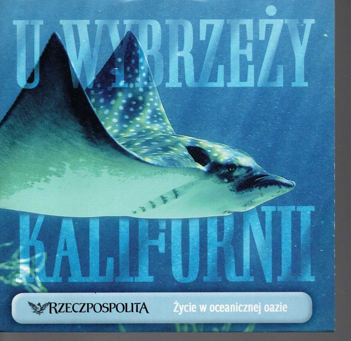 Film VCD - U wybrzeży Kaliforni