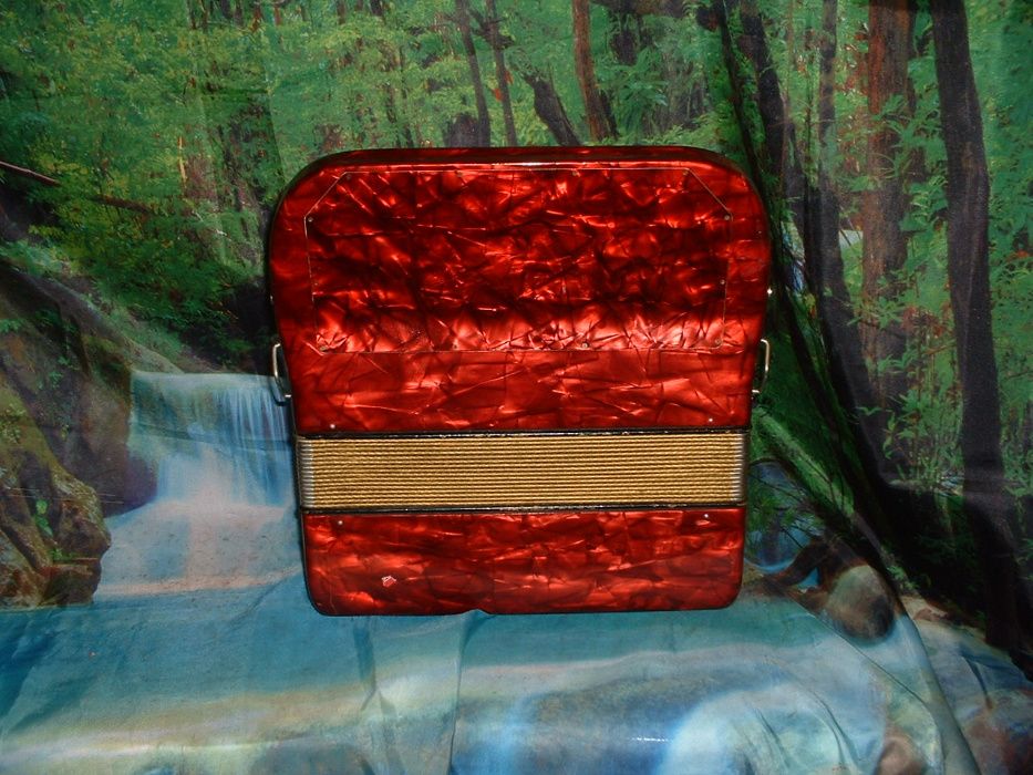 Acordeão Avenda R 597