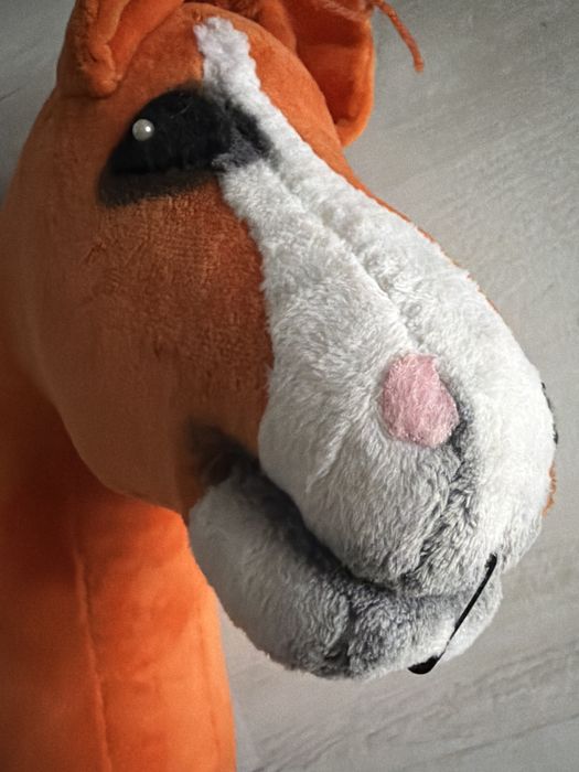 Hobby horse z piekną odmianką