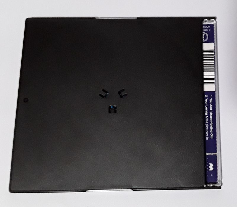 CD Billie Ray Martin: You And I (Keep Holding On)