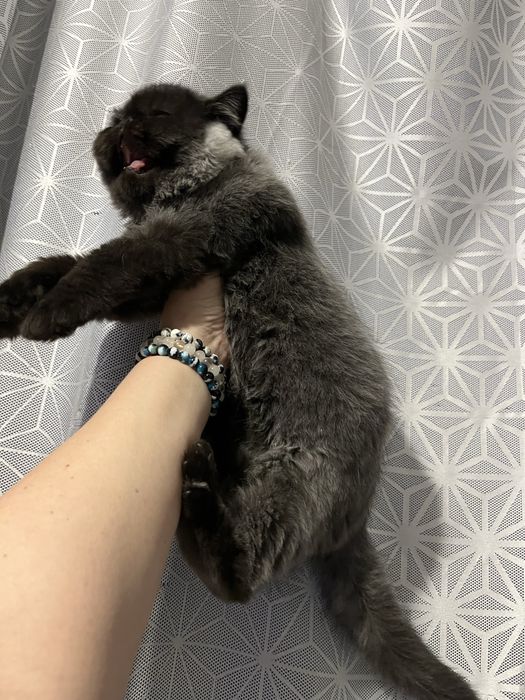 Хлопчик екзот , екстримальногг типажу.