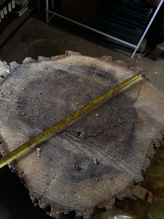Plaster drewna wierzba stolik kawowy naturalne drewno