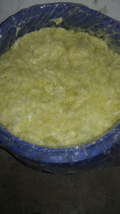 Sprzedam Kapusta kiszona