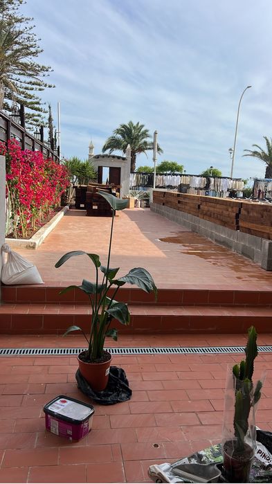 Estabelecimento Marginal Monte Gordo